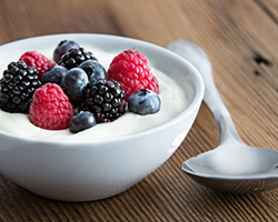 traditional yogurt